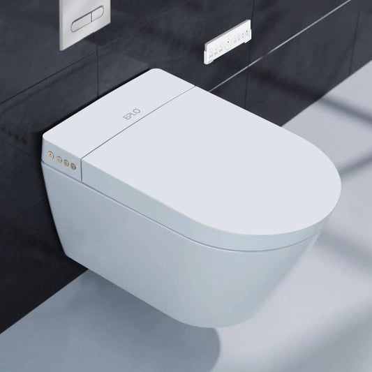 Wall-hung toilet with installation